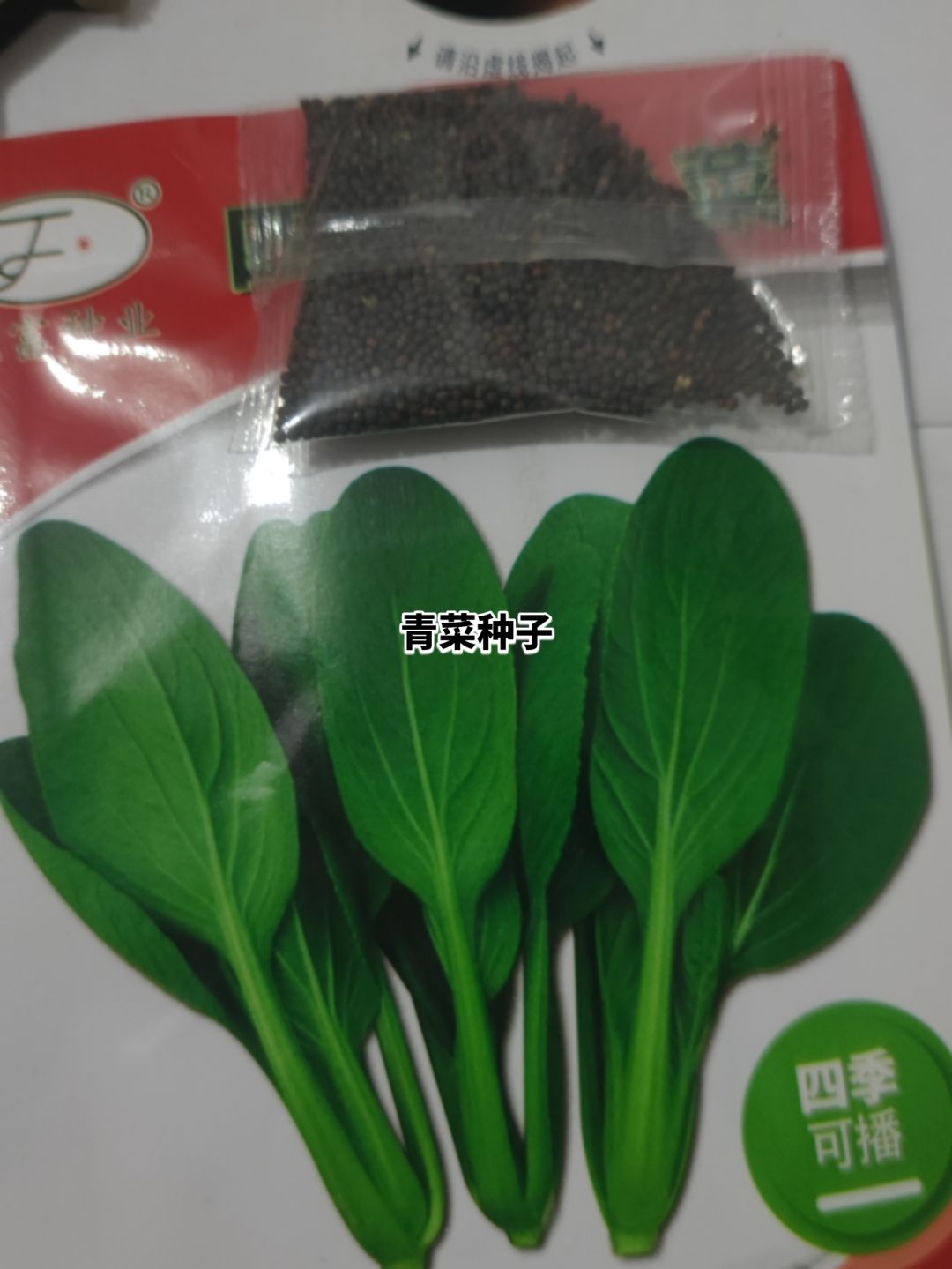 现实体验小农的一天之种植青菜 3