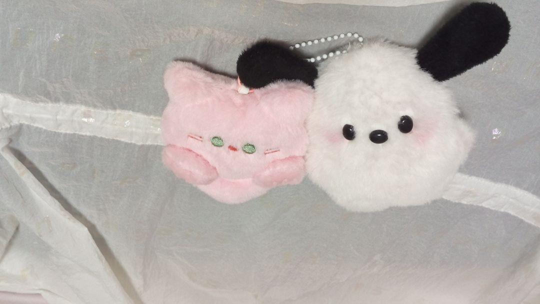 新成员小猫娃娃 1