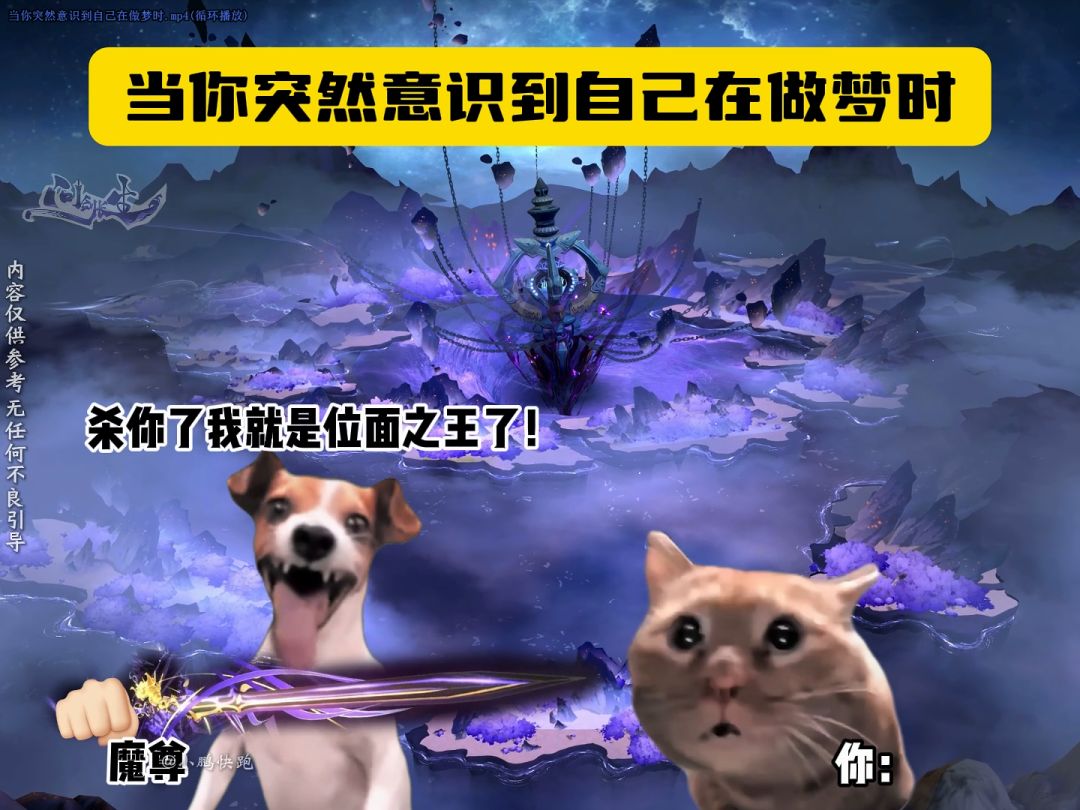 video-5644886
