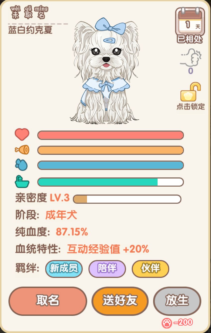 养了彩虹英短和蓝白约克夏 2