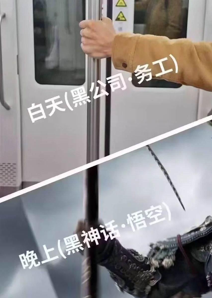 分享一些表情包,随机创飞所有人 1