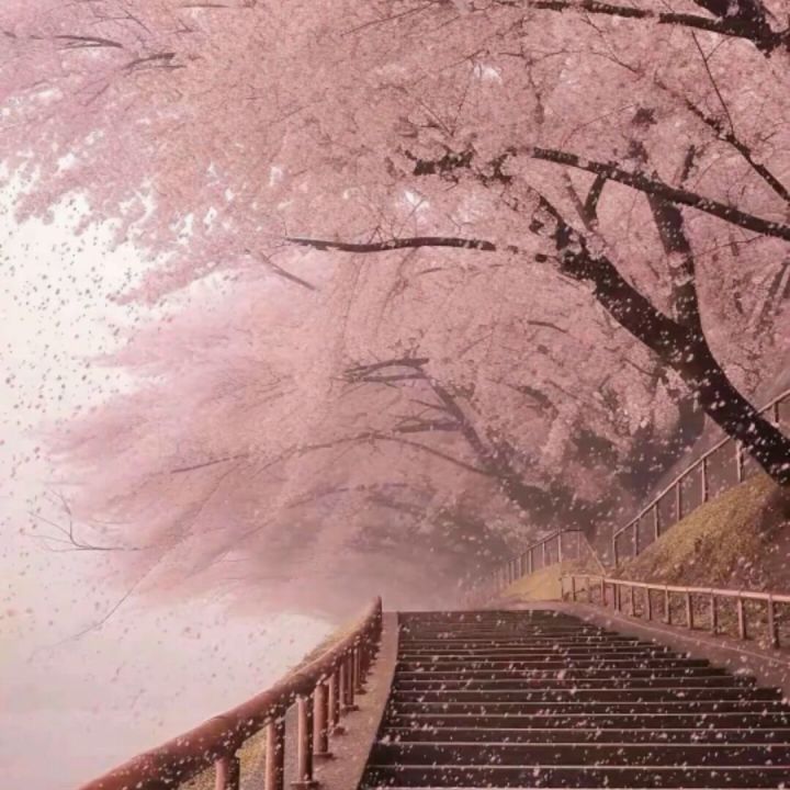 致《火炬之光:无限》里那小撮PVP酸民截图
