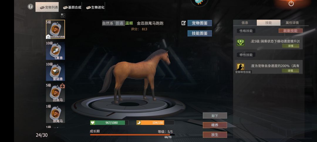 满迅马 1