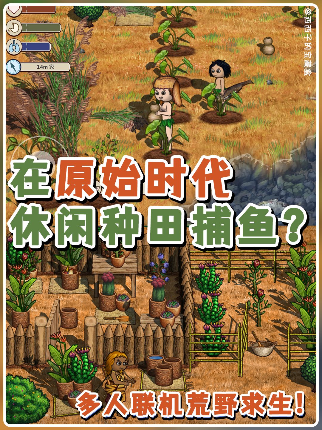 出生就是玩家的宝宝?这游戏不要太离谱啊 1