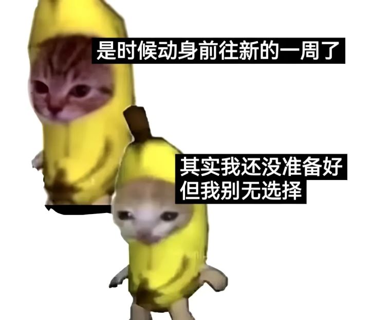 我地麻 地藏王大佬教教我截图