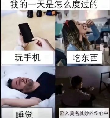 我的一天是这样度过的
