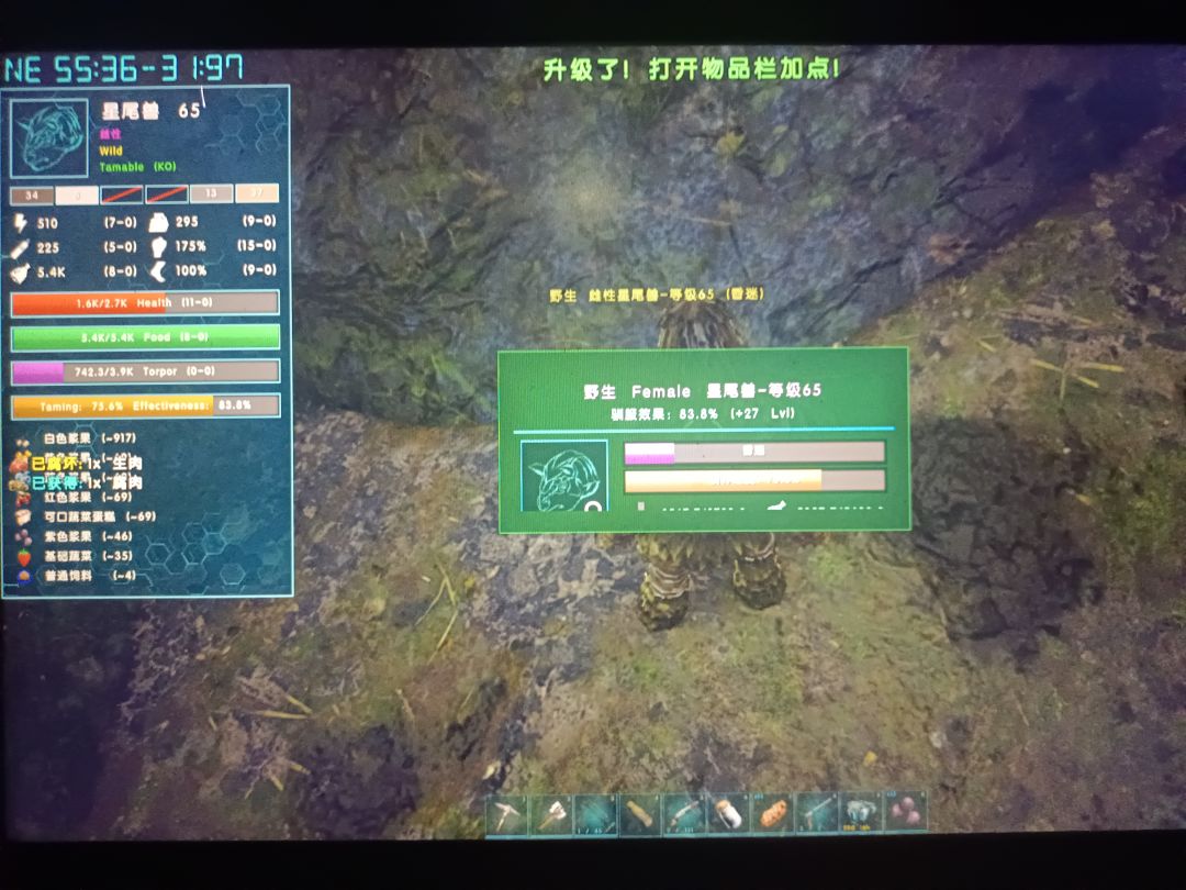 动态图片 3