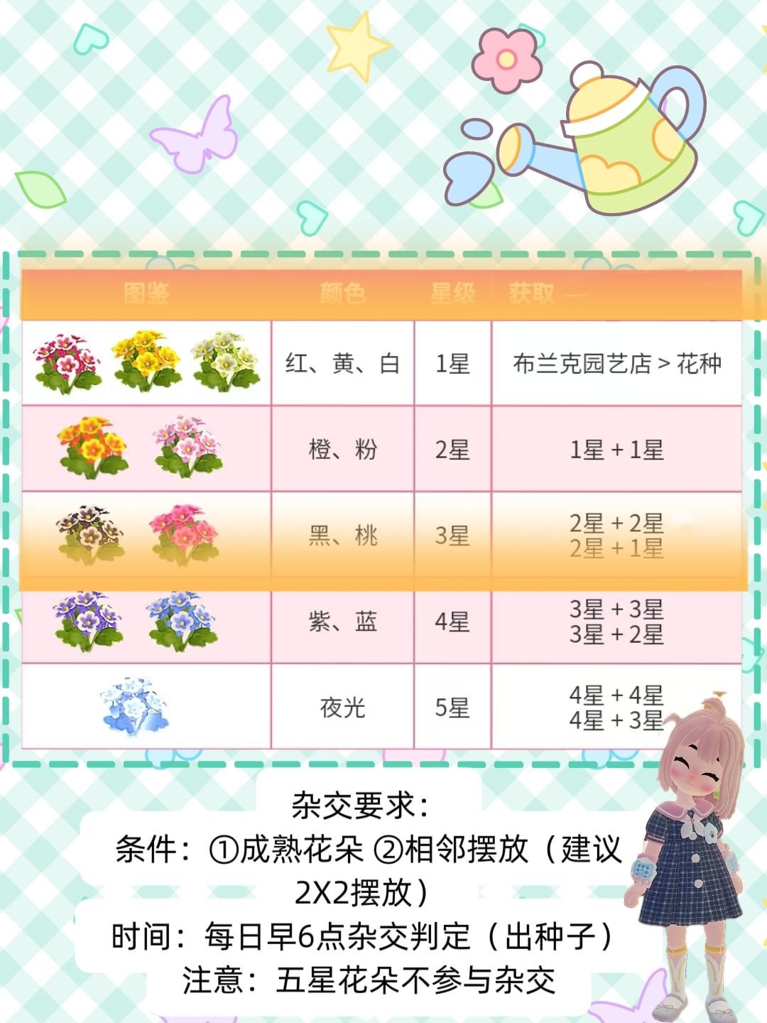 猫爪花杂交攻略来啦 2