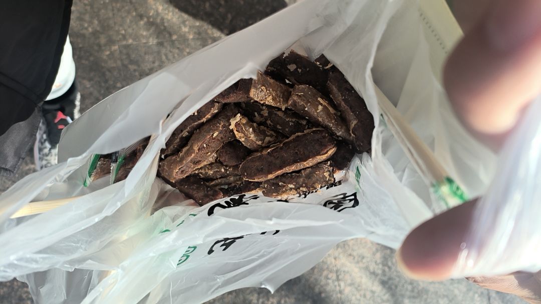鱼 10