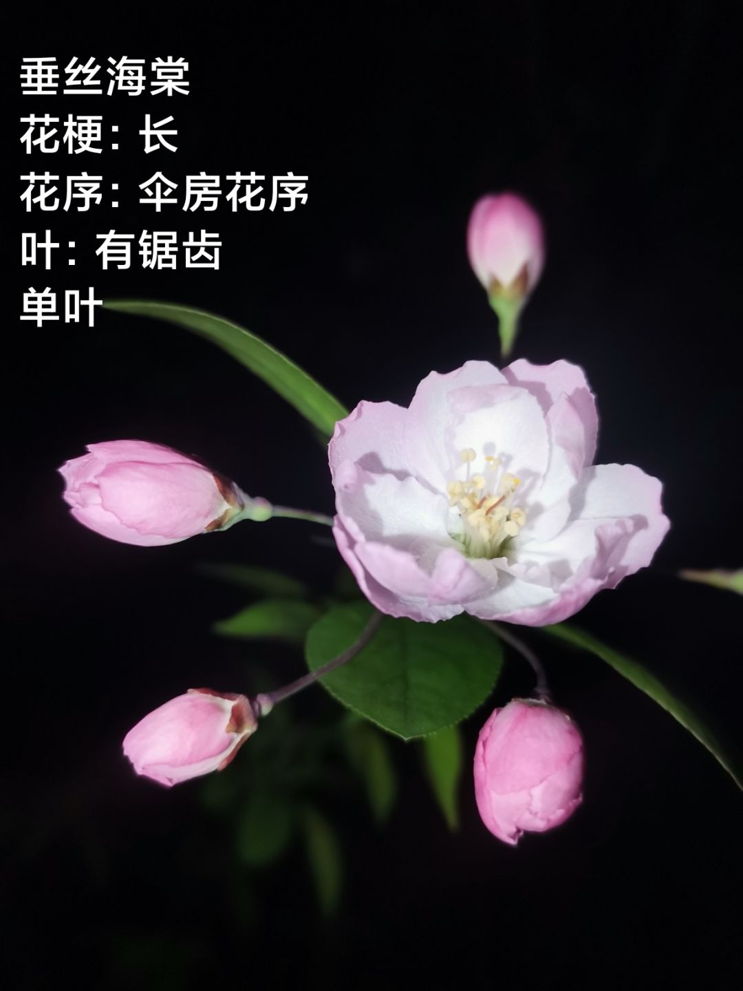 拍照活动 6