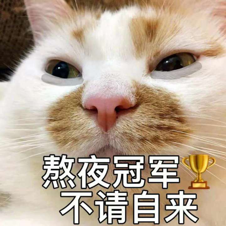 第一次跃迁后对话卡死闪退bug截图