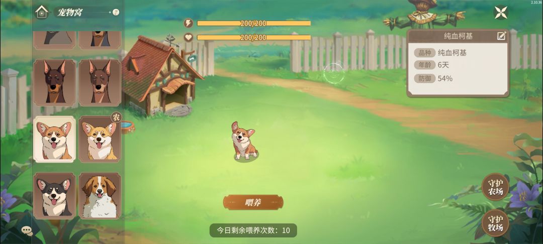 这三只狗的喂养次数 5 次好少,不能一样吗 1