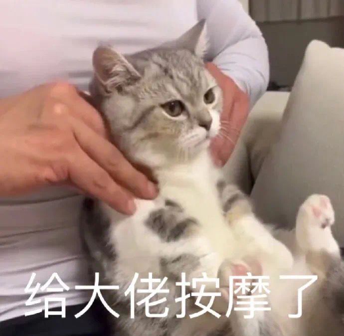请问各位,永久免广告值不值得买,那个每天看广告的需要每天看满嘛截图