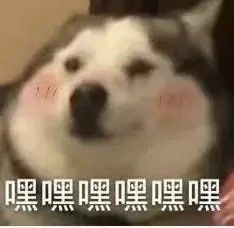 【我的百分之一】【百分之一】截图
