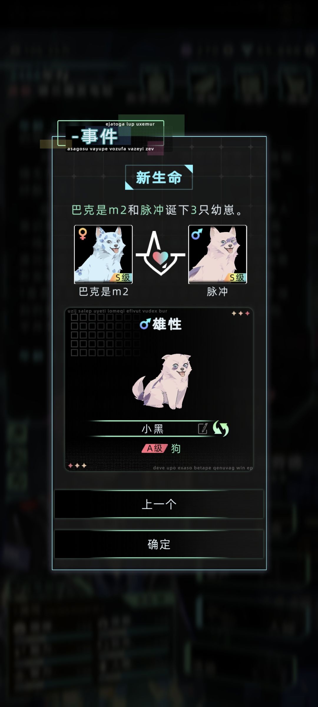 哇塞两胎都是三只狗! 6