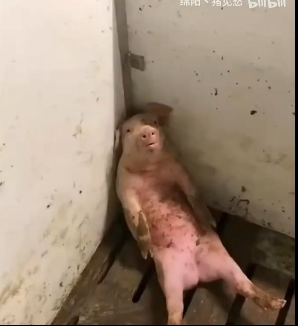 大师开荒dd 1