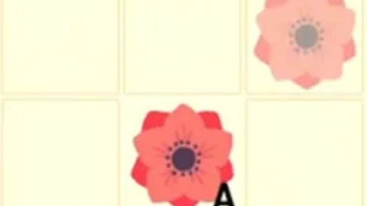 新手攻略——花卉复制与杂交篇（搬自官网）截图