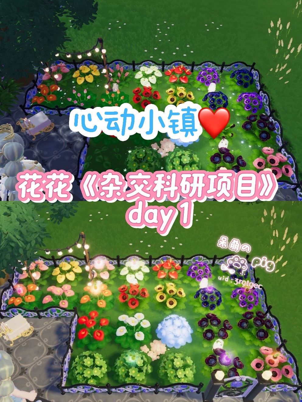 当你会杂交后你会发现…… 1