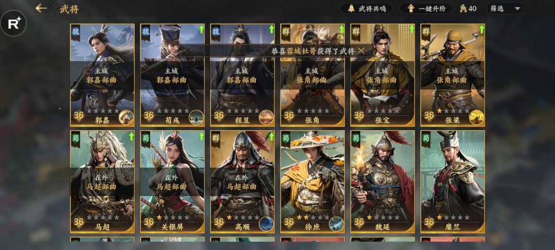0氪二区第三天战力终于进全服前100了 2