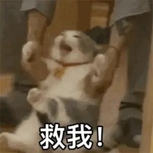 脚本狗记录贴截图