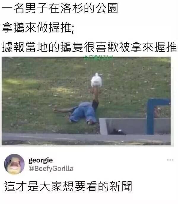 今日份梗图分享 1