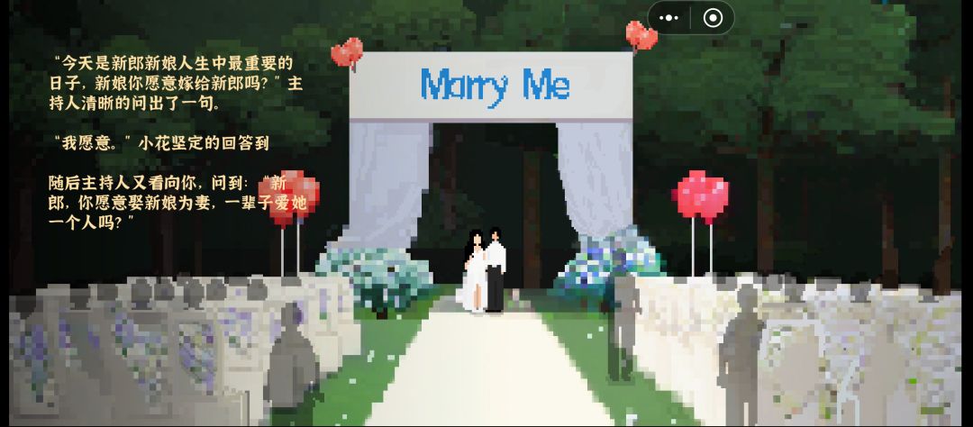 二婚了 5