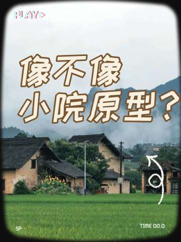 人间烟火乡村处，竟是小院现实模样？