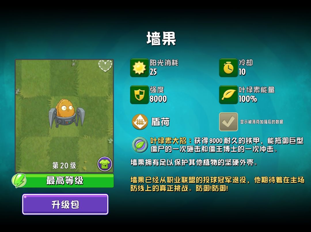 坚果墙 1
