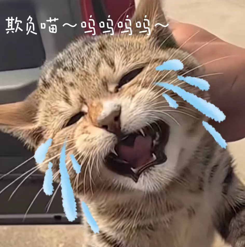 单纯圈钱就这么爽是吧? 1