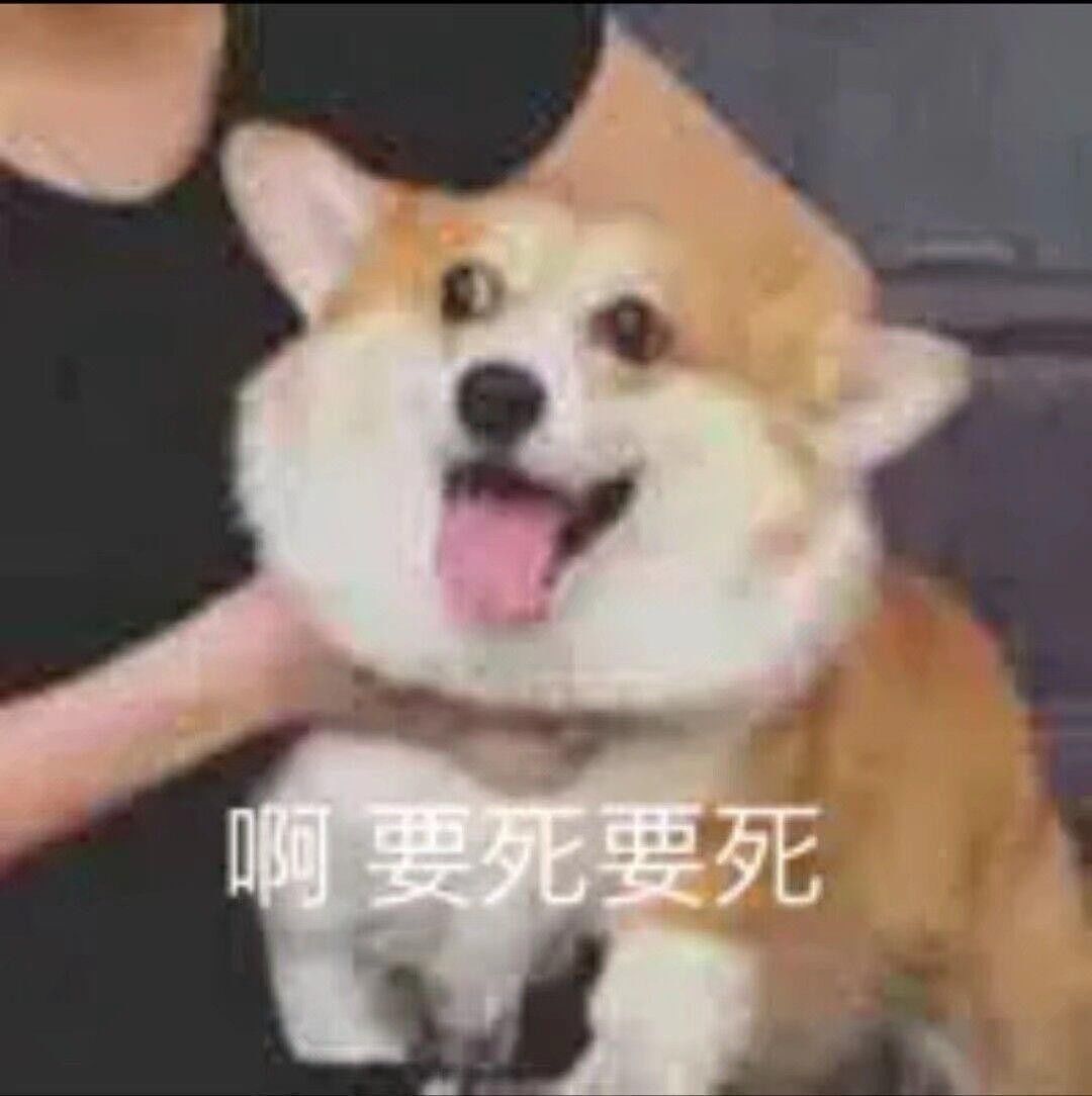 宝藏游戏又又又送皮肤啦 1