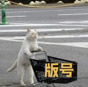 喜报喜报——我们拿到版号啦！ (≧▽≦)