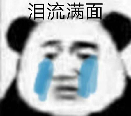 求求好心人有没有铁岚电脑的客户端下载 1