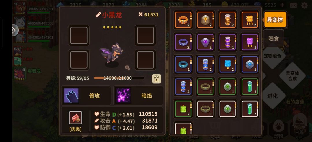 开服普通玩家应该有多少宝石,宠物装备? 2