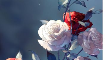 个人对测试的一些看法