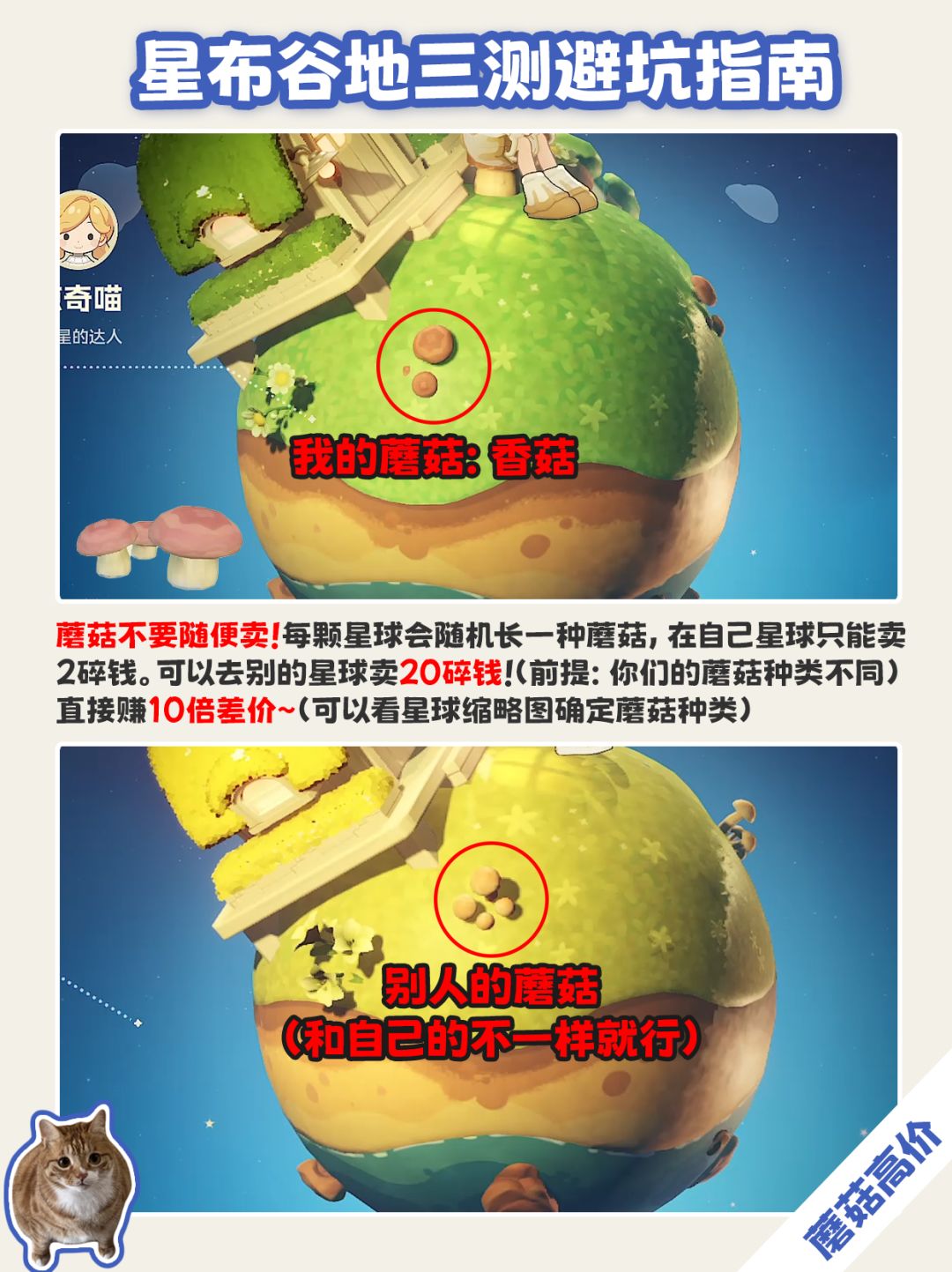 星布谷地三测避坑指南 漏做亏一天! 5