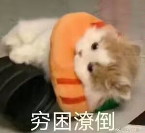 得打到什么程度才有内测限定的东西啊。还是说没有这个奖励。 1