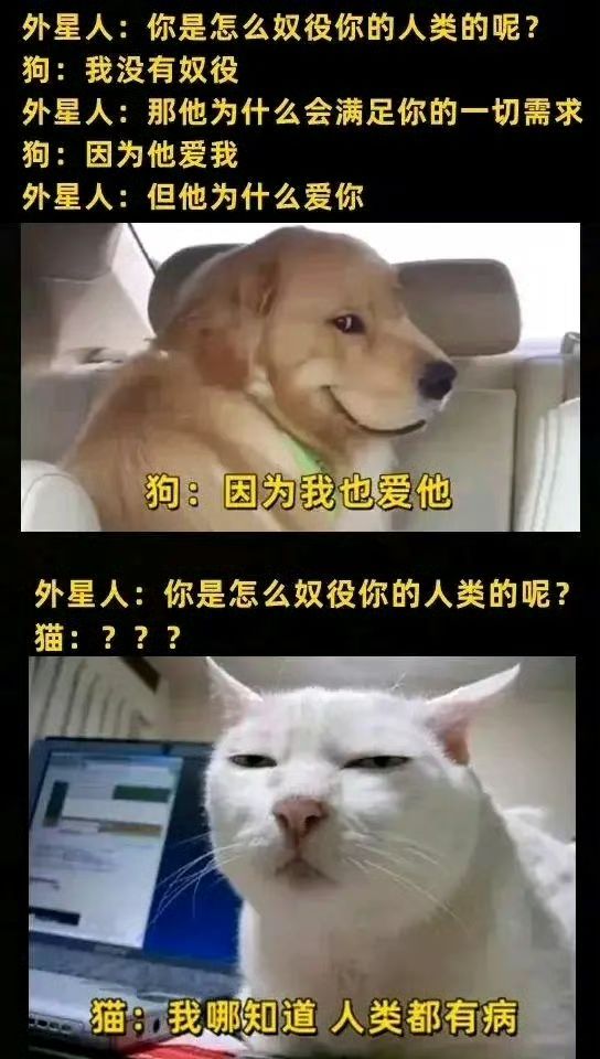 井哪个限定潜能划算? 1