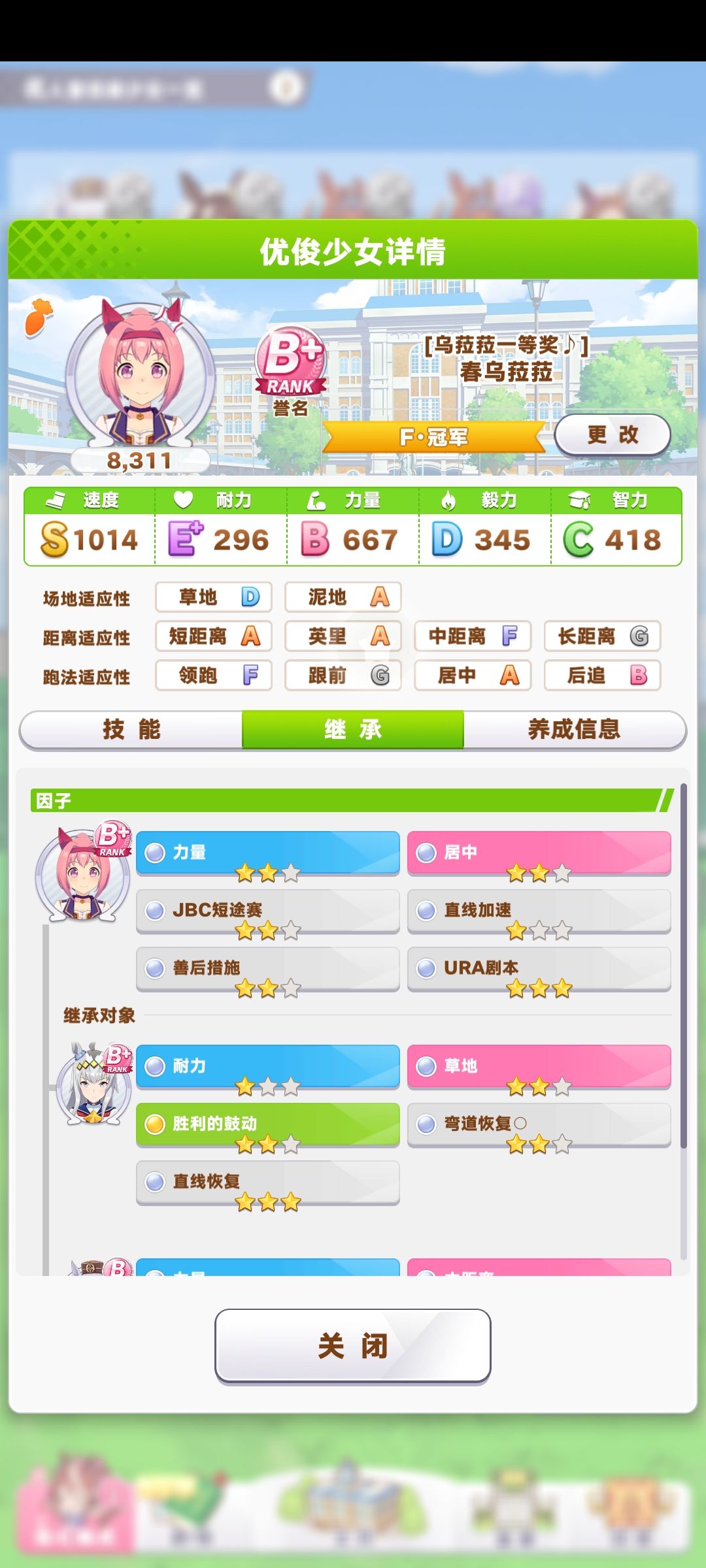 种马分享 1