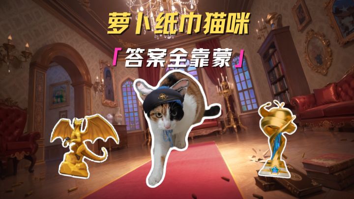 队长最聪明的一集 猫咪素材来源：@超级无敌大开门截图