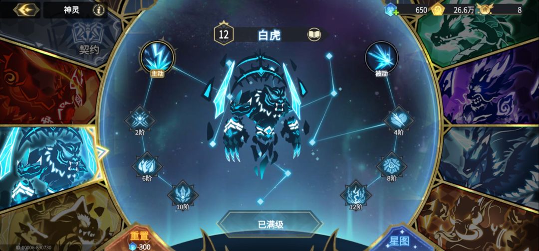 白虎满级了 2