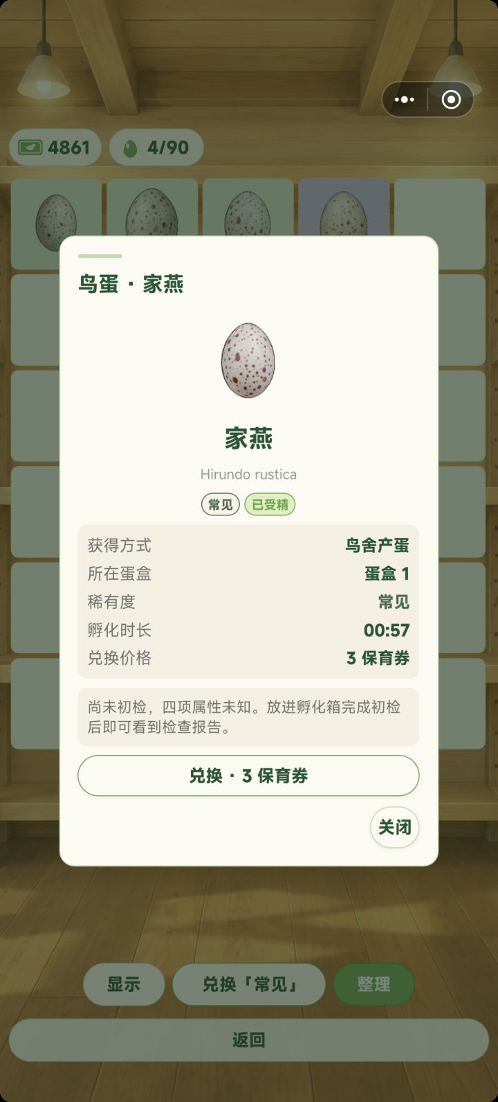 20券的鸟蛋养不起500券的鸟截图