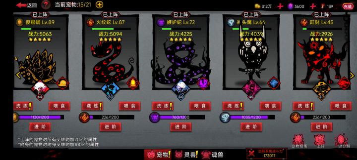 该养哪些宠物截图