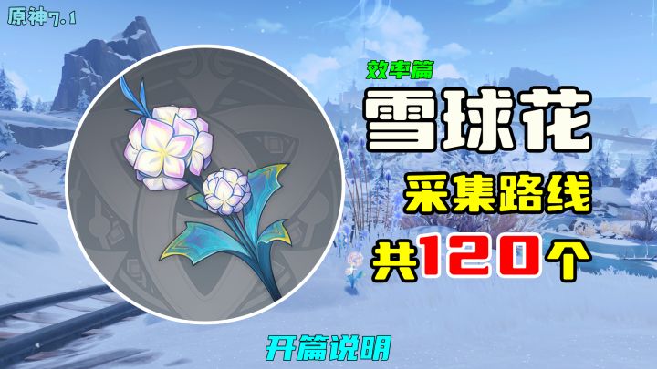 【原神】雪球花采集路线(120个,效率篇),开篇说明截图