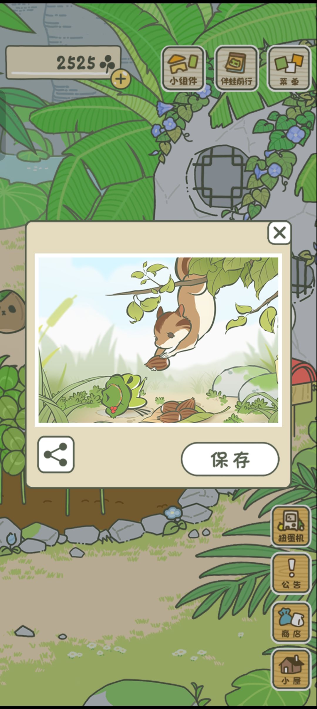 萌蛙的奇幻旅拍之旅 5