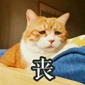 没体力我甚至连消消乐都玩不起 4