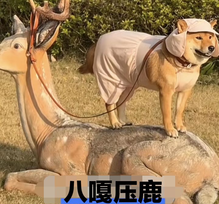 这游戏如今的热度和游戏质量很匹配截图