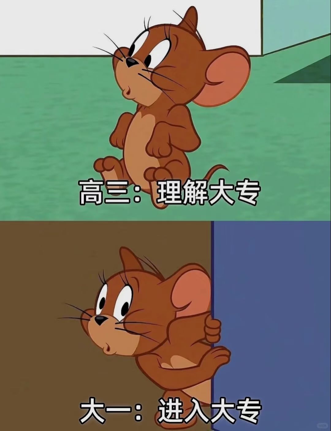 梗图|人生没有什么标准答案 2
