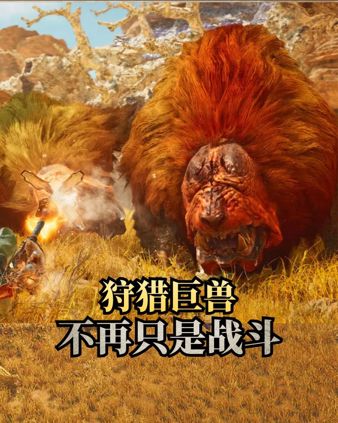 🌹怪物猎人公测配置要求❤️2月28日公测来袭 3