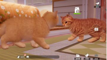 两天了，发发游戏体验