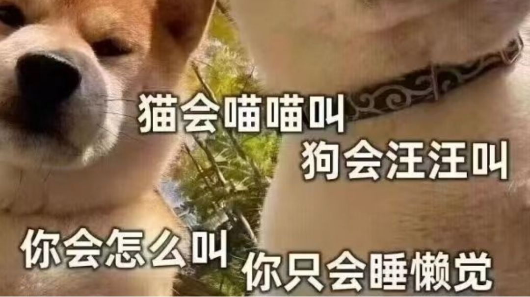 我刚修缮了萌新开区攻略截图